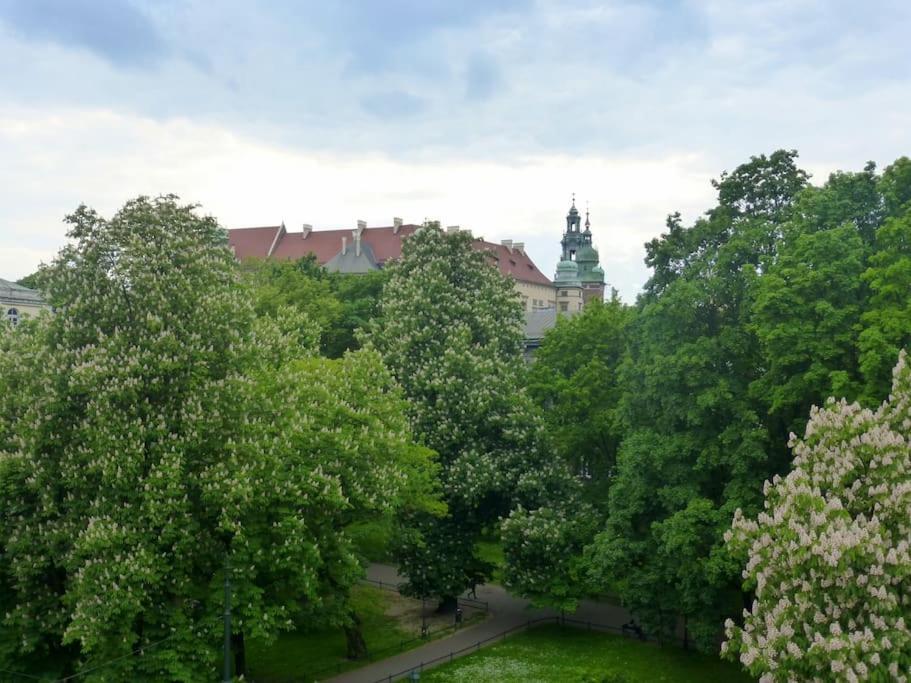 Apartament Gertrudy Belle Apartment Krasków Cameră foto